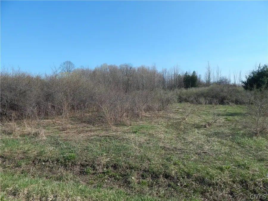 3918 Alene Corners Road, Canastota, NY 13032 - #2