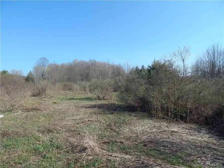 3918 Alene Corners Road, Canastota, NY 13032 - #3