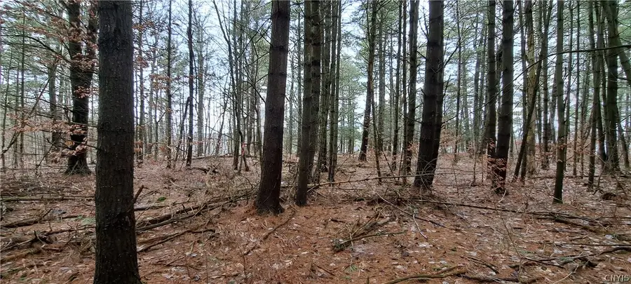 Sweet Point Rd, Alexandria Bay, NY 13607 - #2