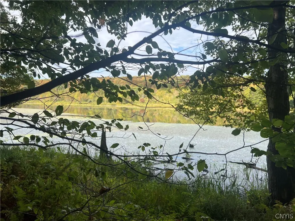 Stramba Road, Cincinnatus, NY 13040 - #1