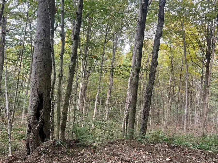 Stramba Road, Cincinnatus, NY 13040 - #3