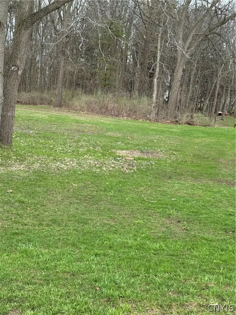 7356 Buckley Road, Syracuse, NY 13212 - #1