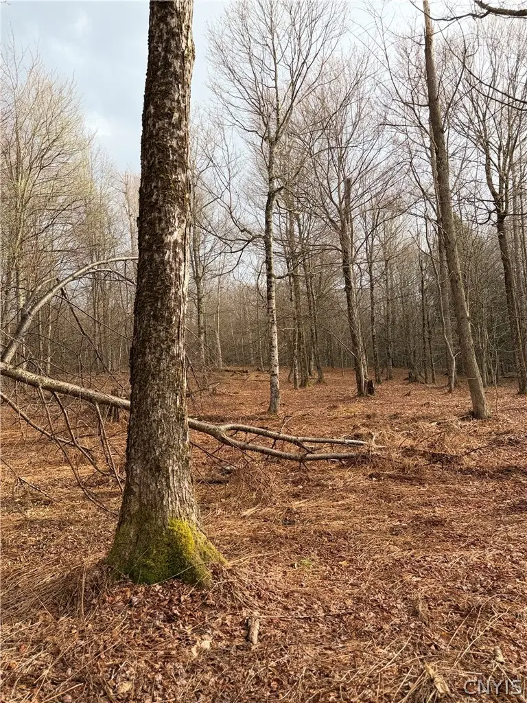 Solitude Forest Drive, Pitcher, NY 13136 - #3