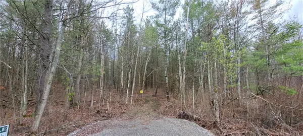 Lead Mine Rd, Redwood, NY 13679