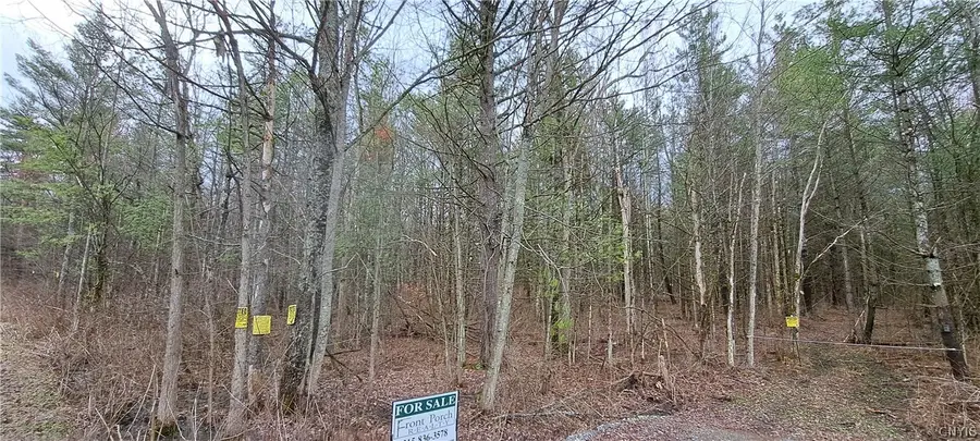 Lead Mine Rd, Redwood, NY 13679 - #2