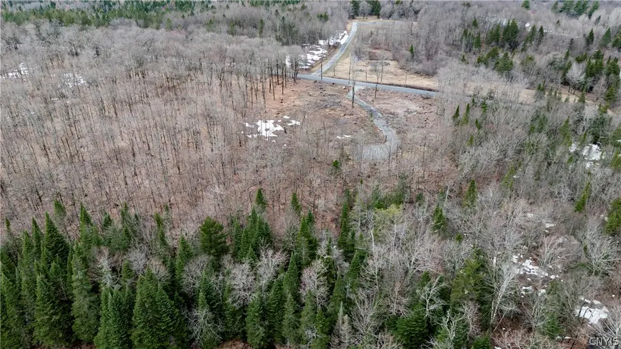 6030 Salmon River Road, Lowville, NY 13367 - #3