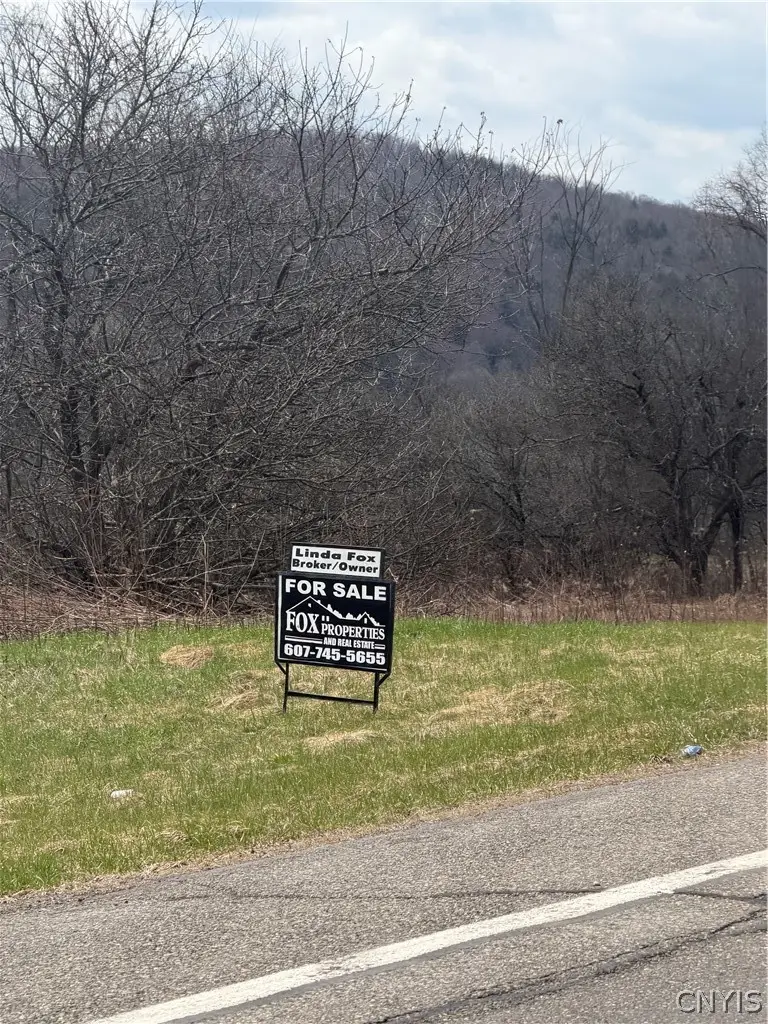 State Hwy 23, Pitcher, NY 13801 - #1