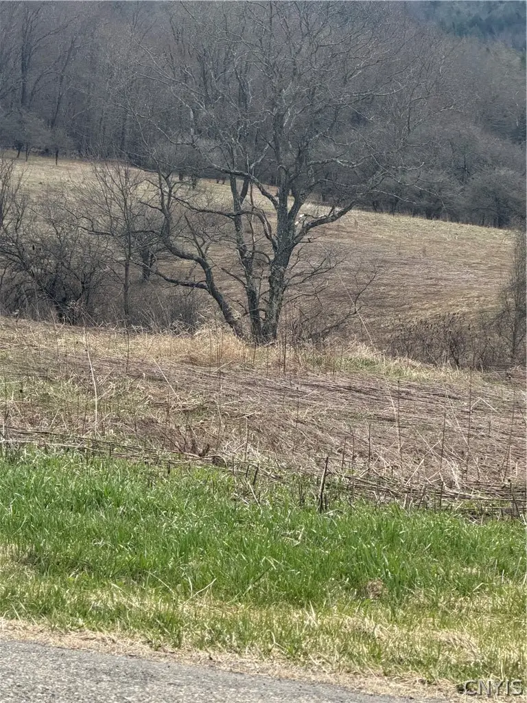 State Hwy 23, Pitcher, NY 13801 - #2