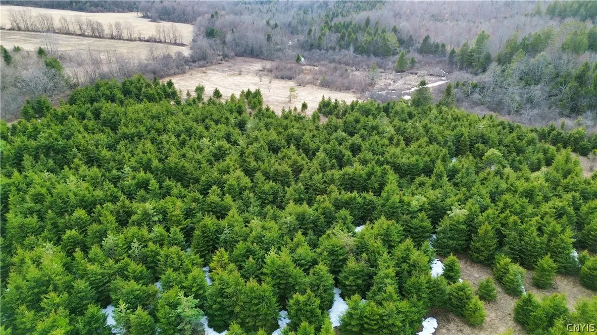 Lot 5 Burrell Road, Little Falls, NY 13365 - #1