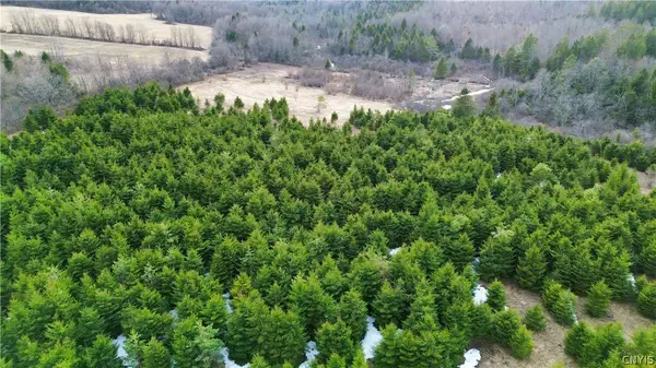 Lot 5 Burrell Road, Little Falls, NY 13365