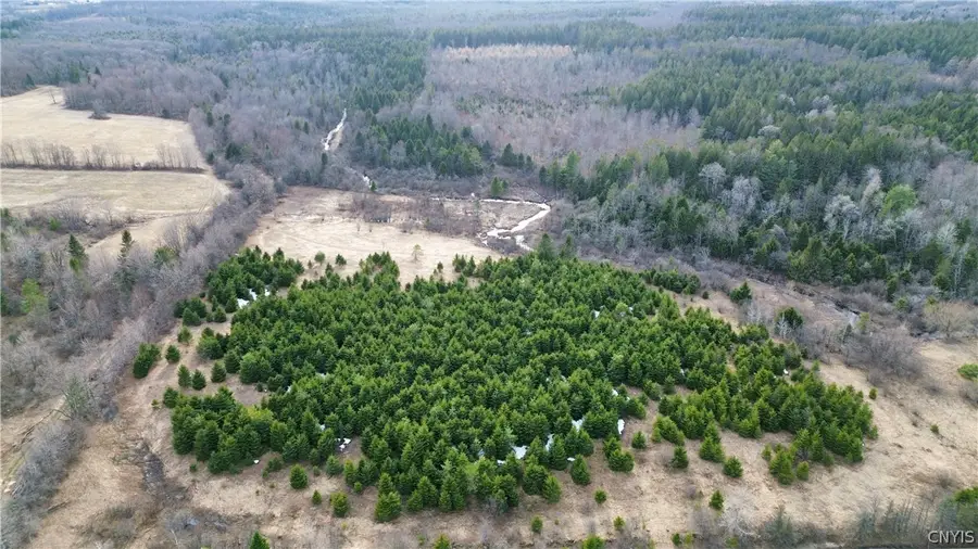 Lot 5 Burrell Road, Little Falls, NY 13365 - #2