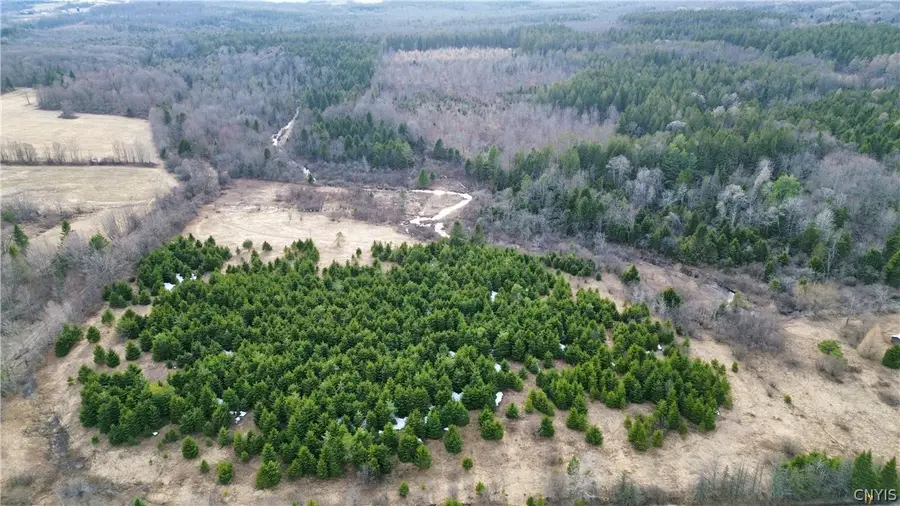 Lot 5 Burrell Road, Little Falls, NY 13365 - #3