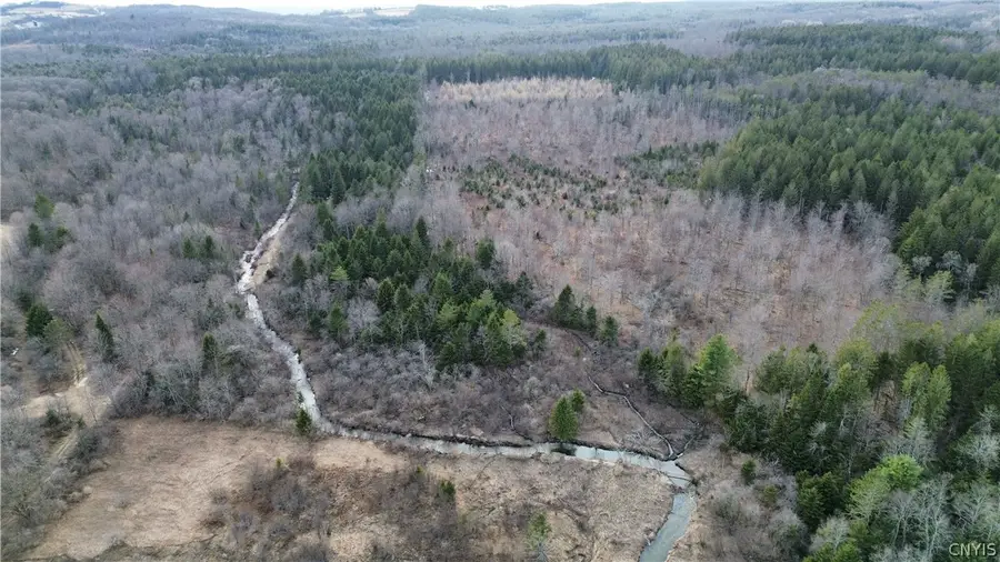 Lot 6 Burrell Road, Little Falls, NY 13365 - #2