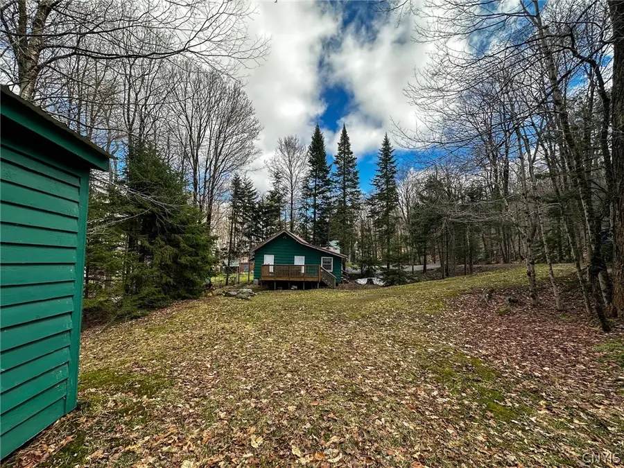 291 Joy Tract Road, Old Forge, NY 13420 - #3