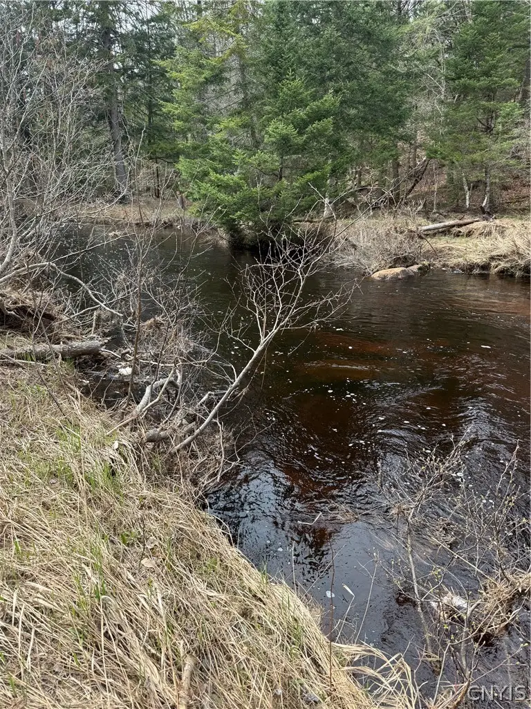 Lot 96 West Rd., Forestport, NY 13338 - #2