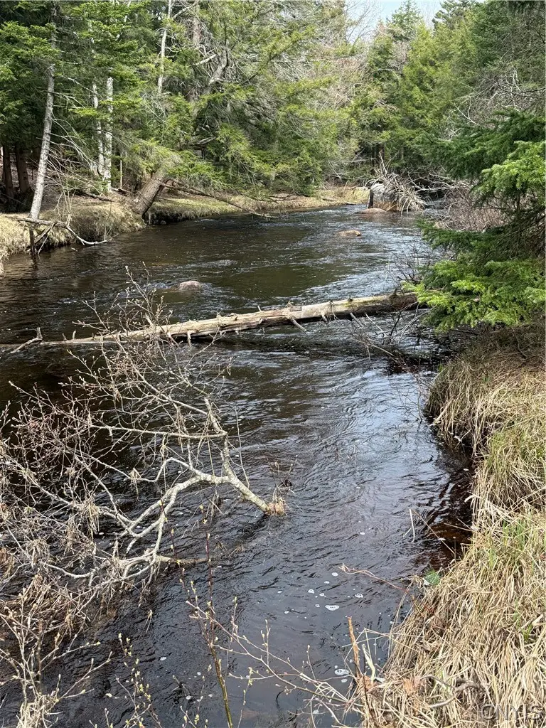 Lot 96 West Rd., Forestport, NY 13338 - #3
