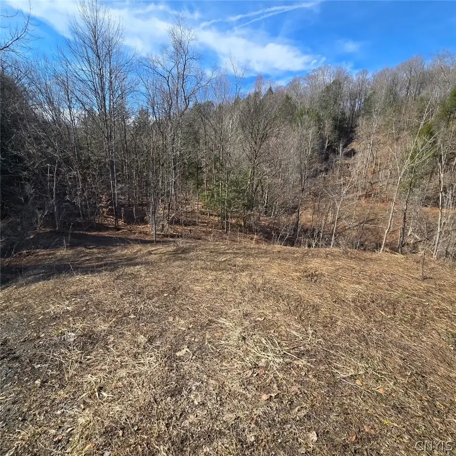 Newport Road, Utica, NY 13502 - #3