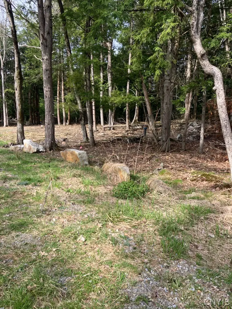 29809 Sears Road, Theresa, NY 13691 - #3