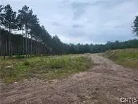 2321 Nys Route 3, Fine, NY 13639 - #2