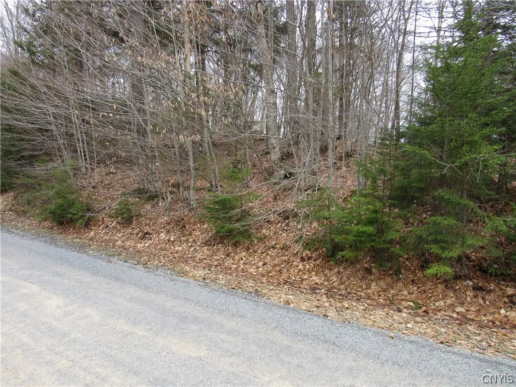 Palisades Road, Old Forge, NY 13420 - #1