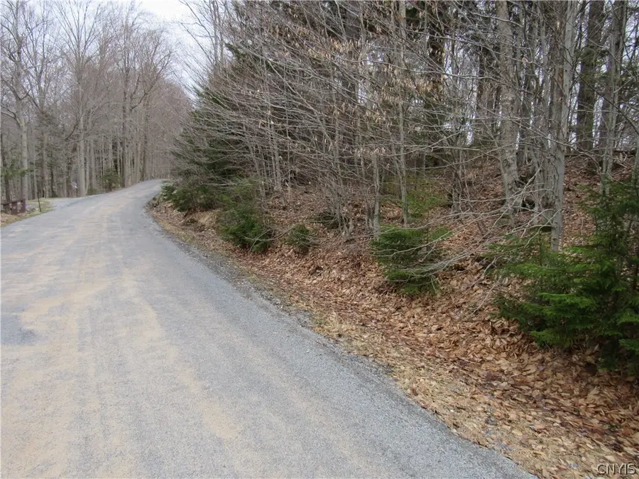 Palisades Road, Old Forge, NY 13420 - #2