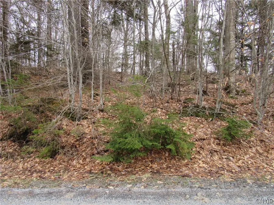 Palisades Road, Old Forge, NY 13420 - #3