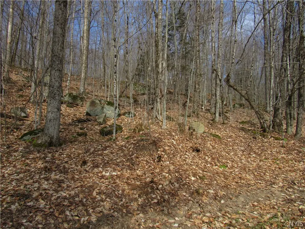 Capron Road W, Forestport, NY 13338 - #1