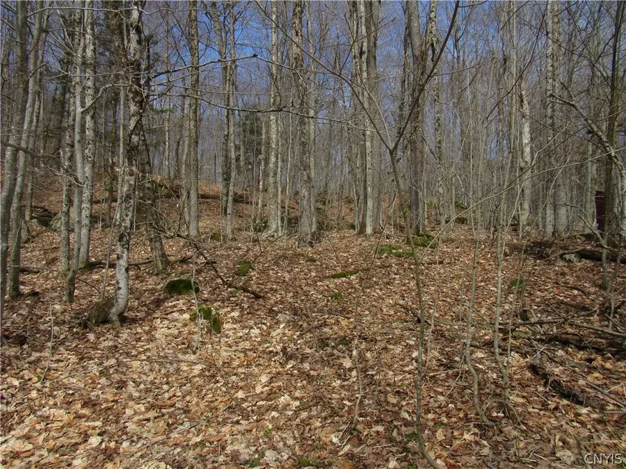 Capron Road W, Forestport, NY 13338 - #3