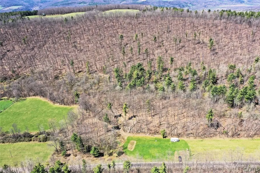 5831 Burt Hill Road, Canisteo, NY 14823 - #3