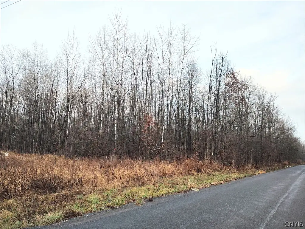 Stephens Road, Canastota, NY 13032 - #1