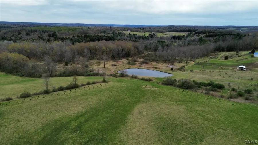Smith-kingsman Road, German, NY 13801 - #2