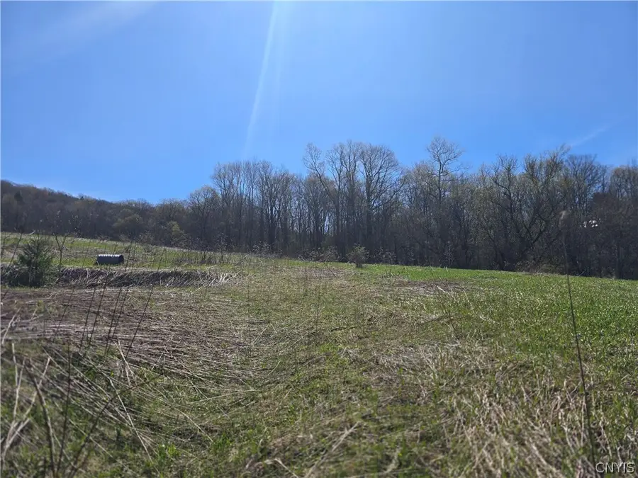 154 Bliven Road, Bridgewater, NY 13313 - #2