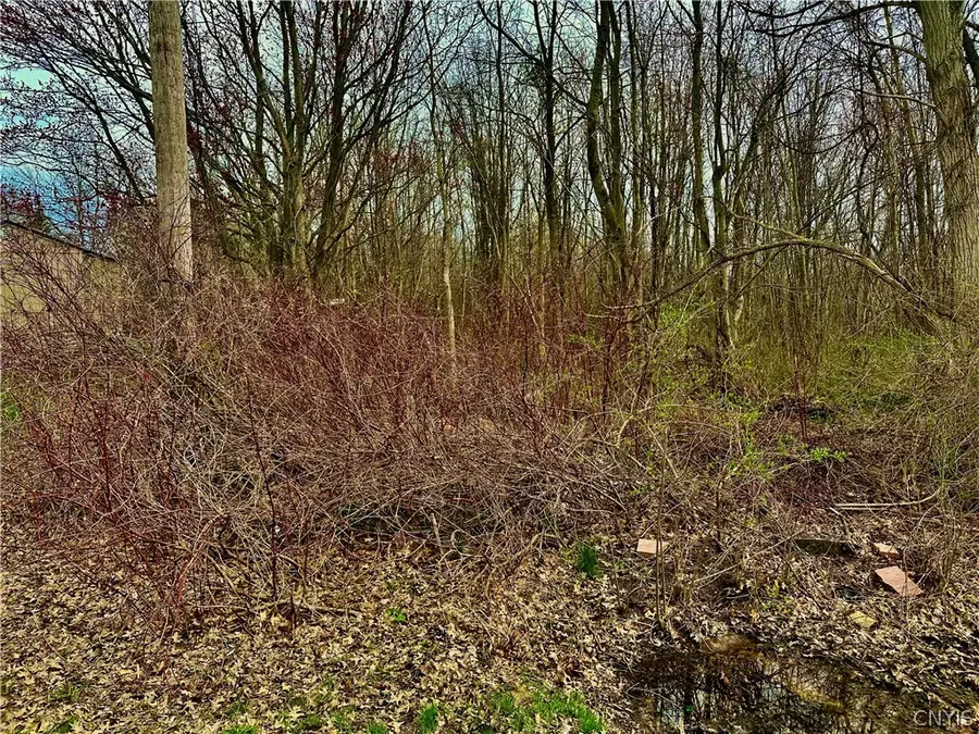 0 Mccracken Drive, Oswego, NY 13126 - #2