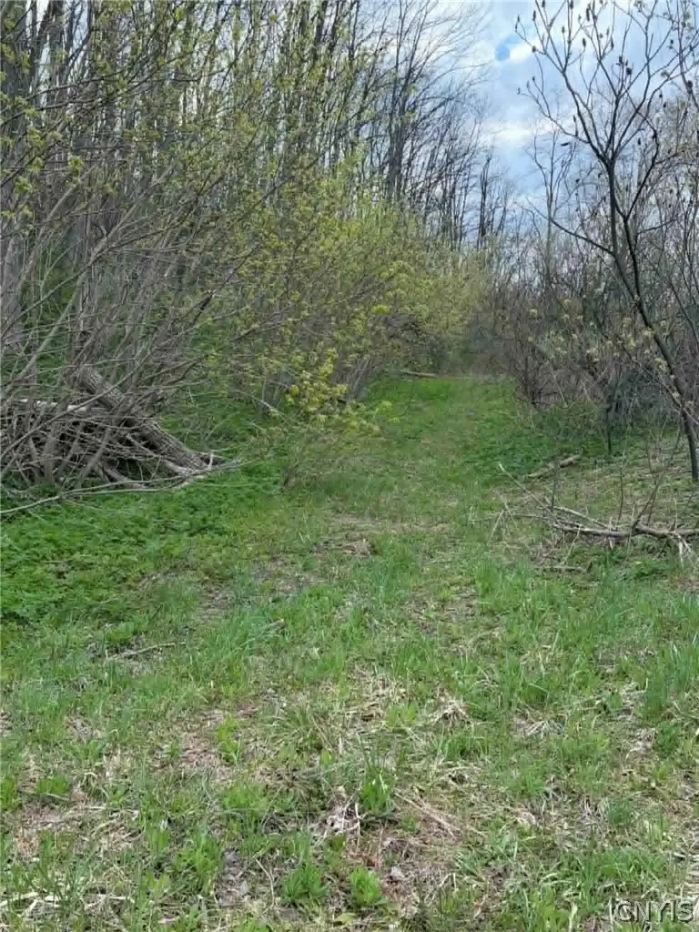 2860 Us Highway 11, Cortland, NY 13045 - #3