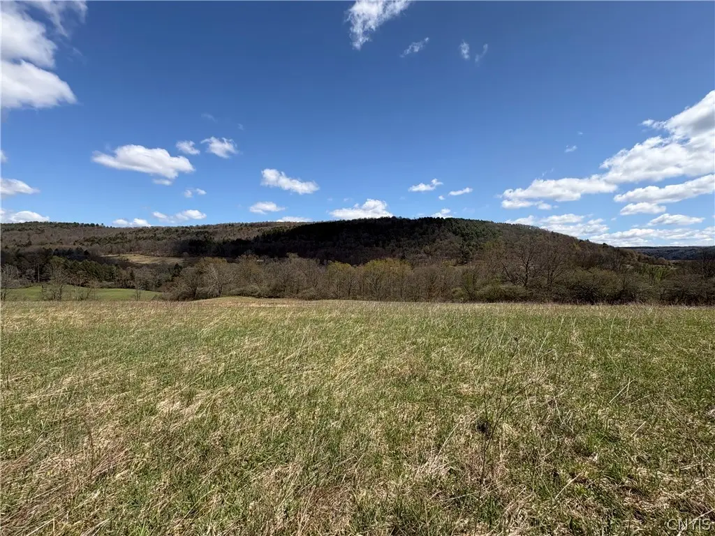 3838 Union Valley Road, Taylor, NY 13052 - #1