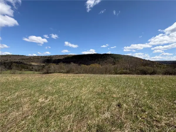 3838 Union Valley Road, Cincinnatus, NY 13052