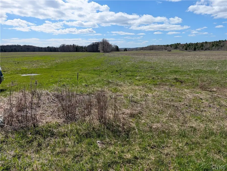 Bald Rock Road, Clayton, NY 13624 - #3