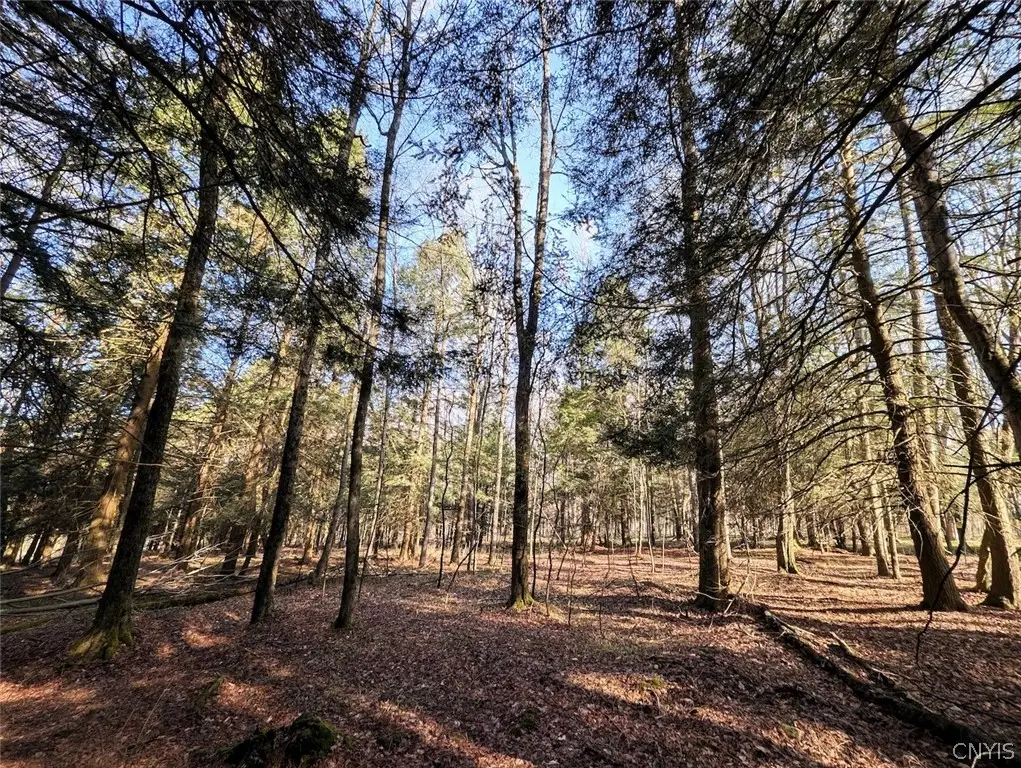2788 Williamson Road, Greenwood, NY 14839 - #1
