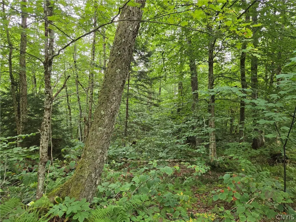 000 William Ernst Road, Lewis, NY 12950 - #1