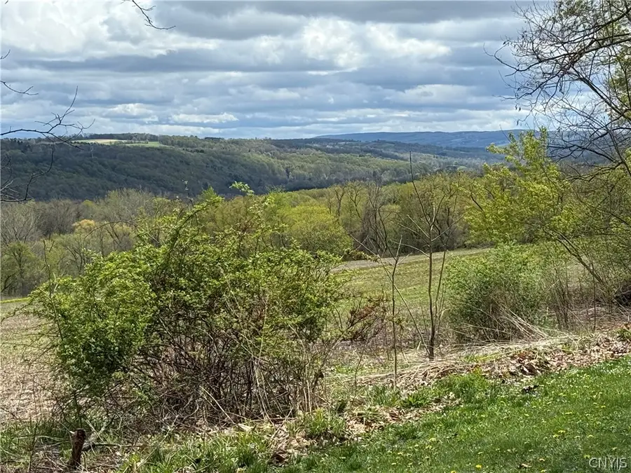 4454 Limeledge Road, Marcellus, NY 13108 - #3