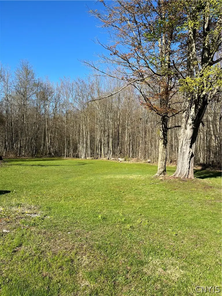 12920 Upton Road, Red Creek, NY 13143 - #2