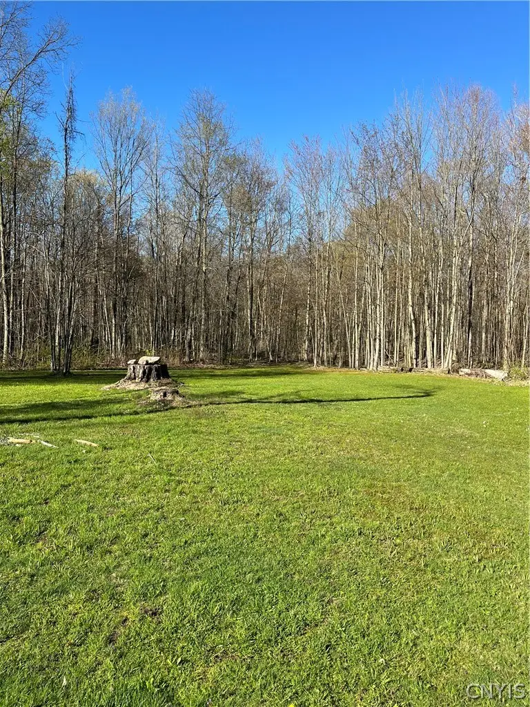 12920 Upton Road, Red Creek, NY 13143 - #3