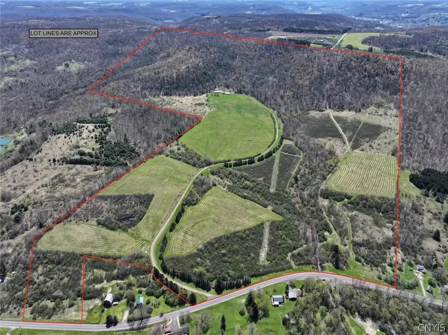3827 Vandermark Road, Scio, NY 14880 - #2