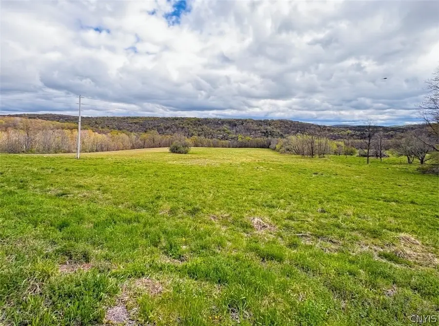 7828 Gorton Lake Road, Waterville, NY 13480 - #2