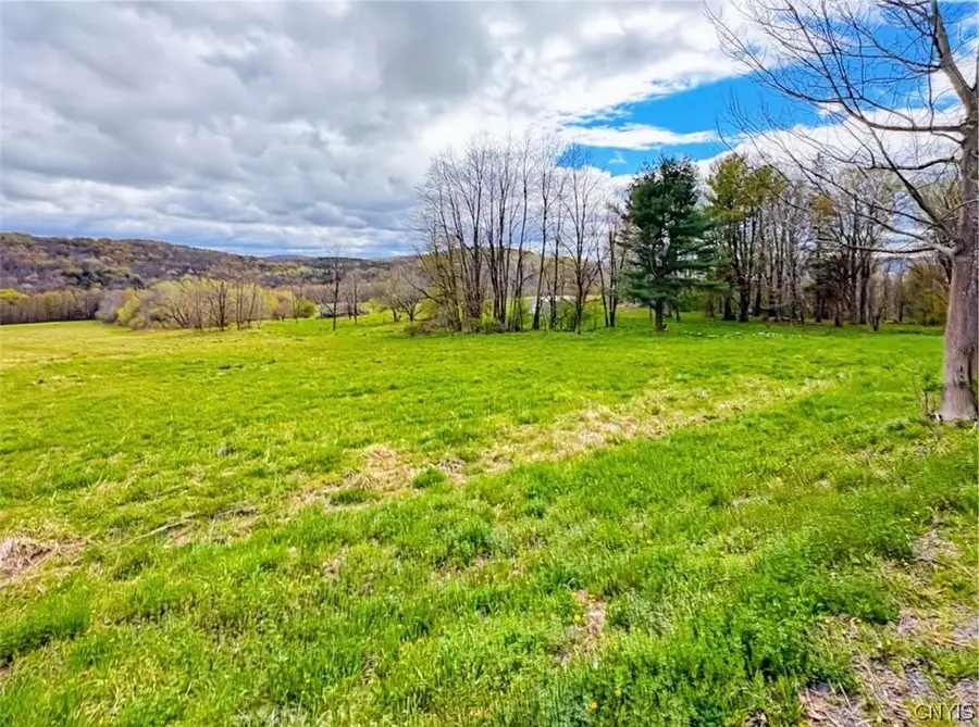 7828 Gorton Lake Road, Waterville, NY 13480 - #3