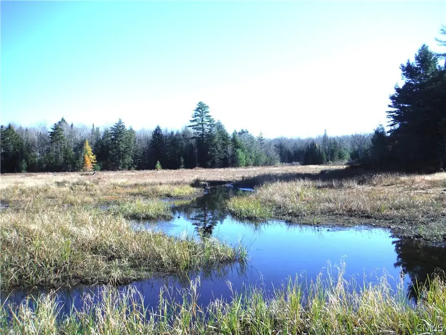 00X Buck Lake Road, Forestport, NY 13338 - #3