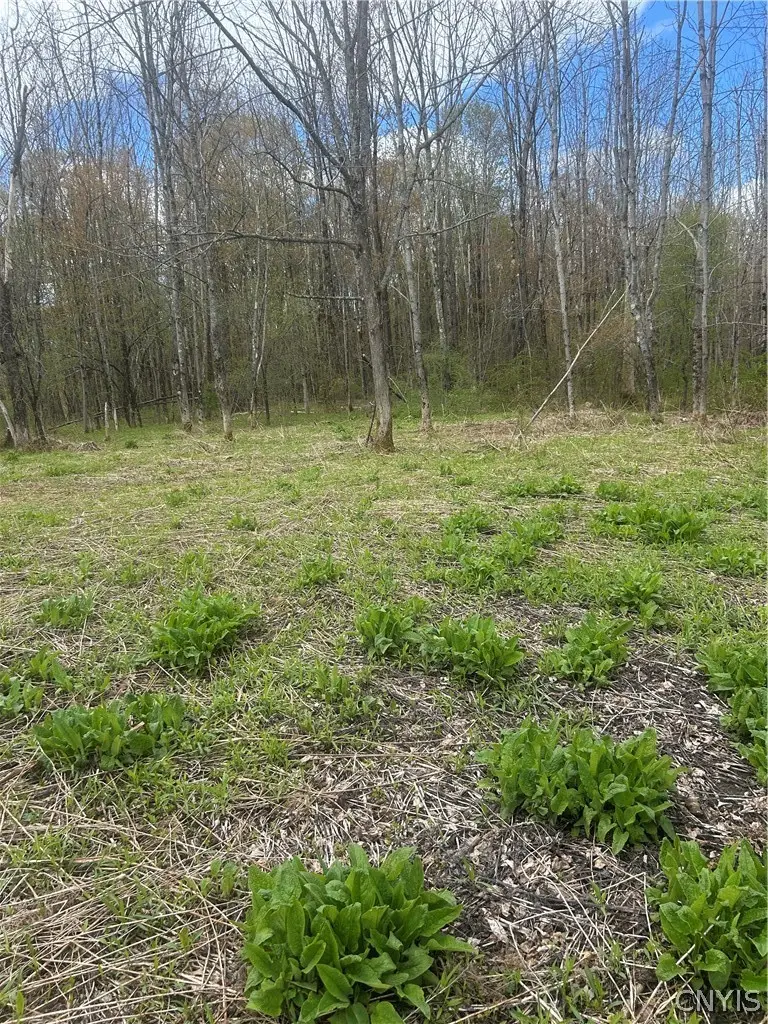 Smith Hill Road, Utica, NY 13502 - #1