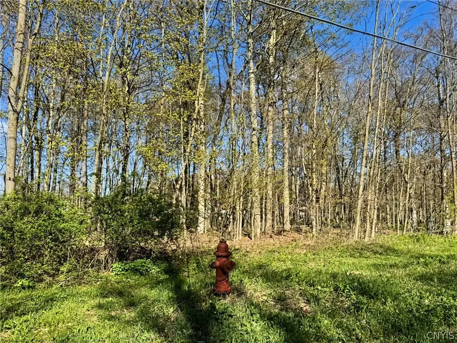 Elm Street, Groton, NY 13073 - #3