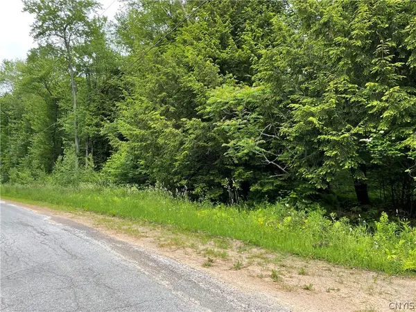 00 N Hillsborough Road, Camden, NY 13316