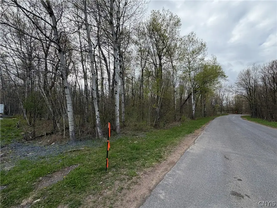 0 Farney Pit Rd, Carthage, NY 13619 - #2